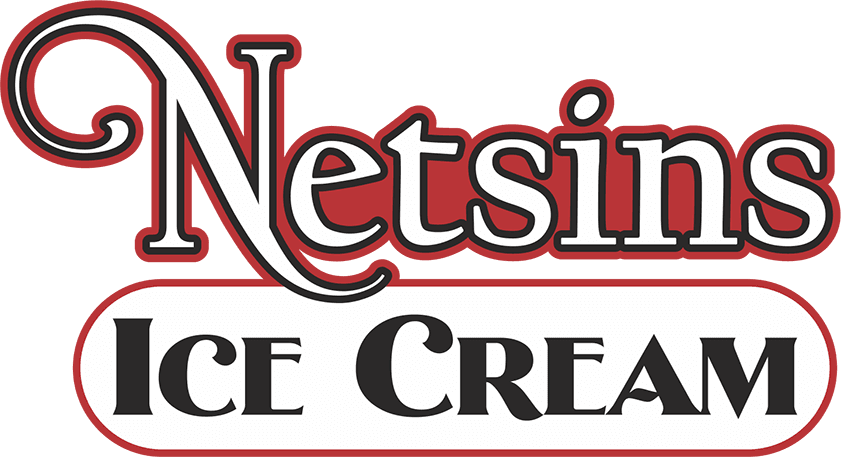 Netsins Logo